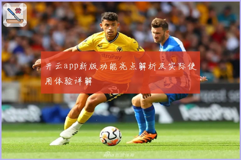 开云app新版功能亮点解析及实际使用体验详解