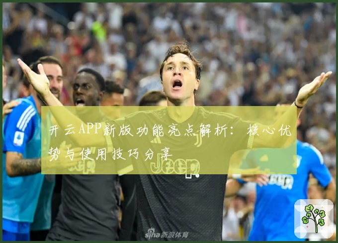 开云APP新版功能亮点解析：核心优势与使用技巧分享